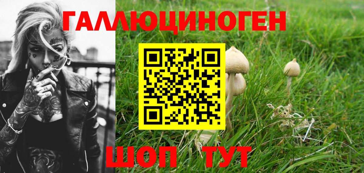 где продают   Вход с VPN  Полевской  Галлюциногенные грибы Magic Shrooms 